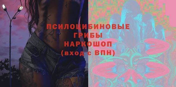 не бодяженный Арсеньев