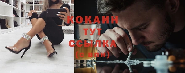 не бодяженный Арсеньев