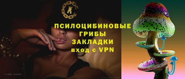 не бодяженный Арсеньев