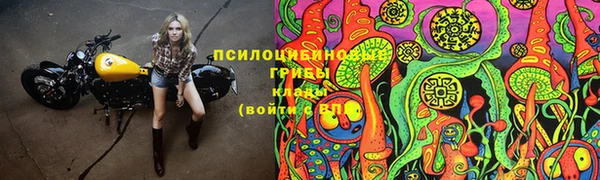 не бодяженный Арсеньев